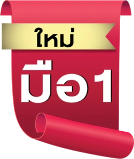 สินค้าใหม่มือ 1